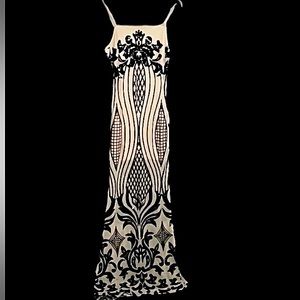 Dellore sequined, mesh, evening dress